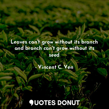  Leaves can't grow without its branch and branch can't grow without its seed... - Vincent C. Ven - Quotes Donut