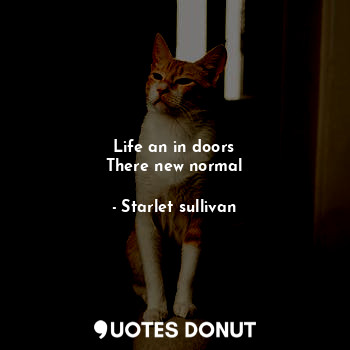  Life an in doors
There new normal... - Starlet sullivan - Quotes Donut