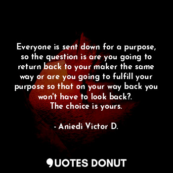  Everyone is sent down for a purpose, so the question is are you going to return ... - Aniedi Victor D. - Quotes Donut