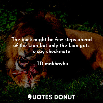 ‘The buck might be few steps ahead of the Lion but only the Lion gets to say checkmate’