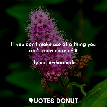  If you don't make use of a thing you can't know more of it... - Iyanu Awhanhode - Quotes Donut