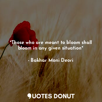  *Those who are meant to bloom shall bloom in any given situation*... - Bakhar Moni Deori - Quotes Donut