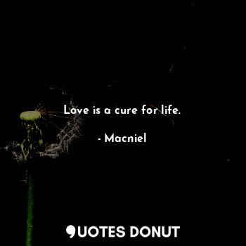  Love is a cure for life.... - Macniel Deelman - Quotes Donut