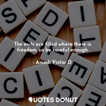  The evils are filled where there is freedom, so be careful enough.... - Aniedi Victor D. - Quotes Donut