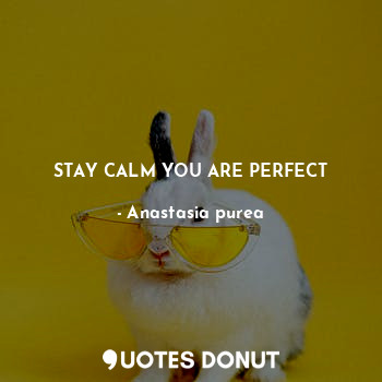  STAY CALM YOU ARE PERFECT... - Anastasia purea - Quotes Donut