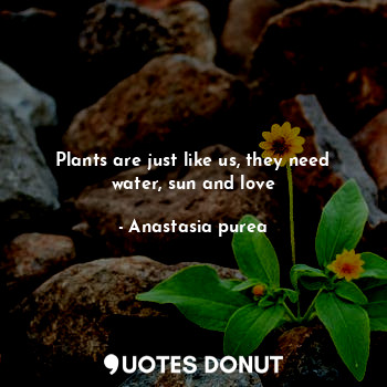  Plants are just like us, they need water, sun and love... - Anastasia purea - Quotes Donut