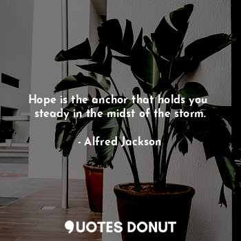  Hope is the anchor that holds you  steady in the midst of the storm.... - Alfred Jackson - Quotes Donut