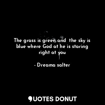  The grass is green and  the sky is blue where God at he is staring right at you... - Dreama salter - Quotes Donut