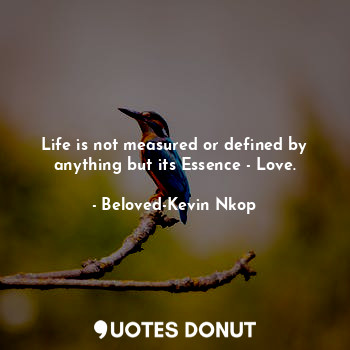 Life is not measured or defined by anything but its Essence - Love.