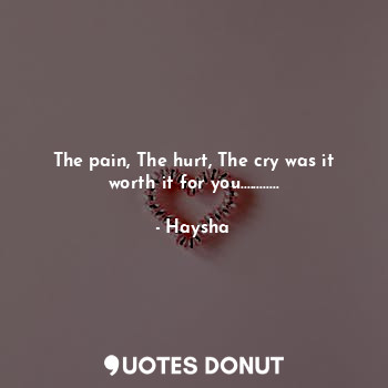  The pain, The hurt, The cry was it worth it for you............... - Haysha - Quotes Donut