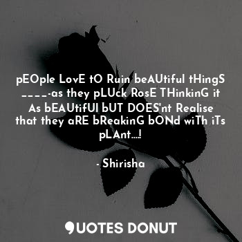 pEOple LovE tO Ruin beAUtiful tHingS ____-as they pLUck RosE THinkinG it As bEAUtifUl bUT DOES'nt Realise that they aRE bReakinG bONd wiTh iTs pLAnt....!