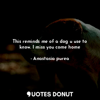  This reminds me of a dog u use to know. I miss you come home... - Anastasia purea - Quotes Donut
