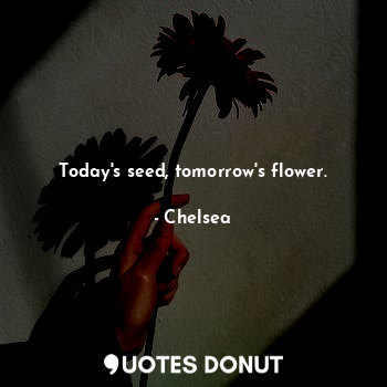 Today's seed, tomorrow's flower.