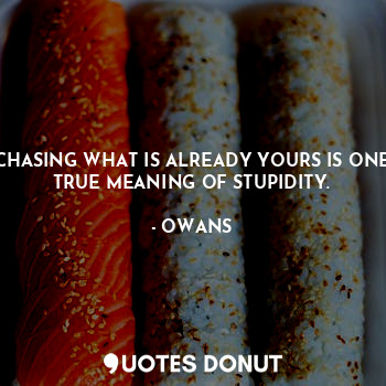  CHASING WHAT IS ALREADY YOURS IS ONE TRUE MEANING OF STUPIDITY.... - OWANS - Quotes Donut