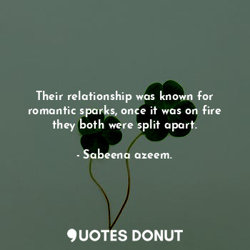  Their relationship was known for romantic sparks, once it was on fire they both ... - Sabeena azeem. - Quotes Donut