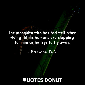 The mosquito who has fed well, when flying thinks humans are clapping for him as... - Prezigha Fafi - Quotes Donut