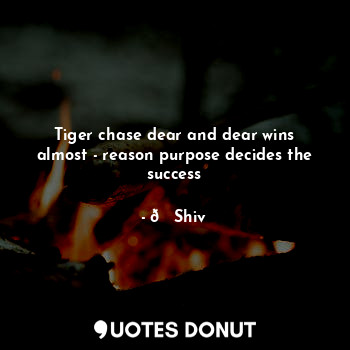 Tiger chase dear and dear wins almost - reason purpose decides the success