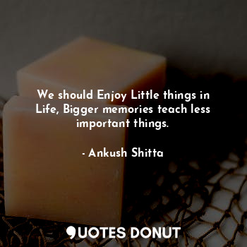  We should Enjoy Little things in Life, Bigger memories teach less important thin... - Ankush Shitta - Quotes Donut