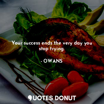 Your success ends the very day you stop trying.