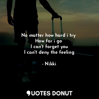  No matter how hard i try 
How far i go 
 I can't forget you 
I can't deny the fe... - Nikki - Quotes Donut