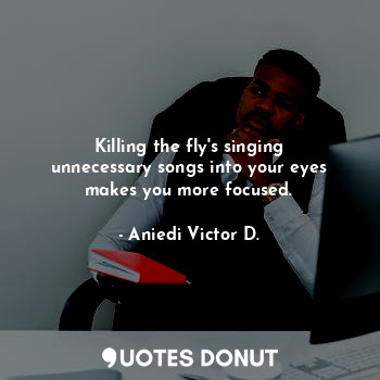  Killing the fly's singing unnecessary songs into your eyes makes you more focuse... - Aniedi Victor D. - Quotes Donut