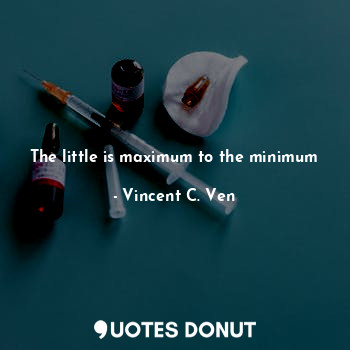  The little is maximum to the minimum... - Vincent C. Ven - Quotes Donut