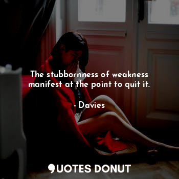  The stubbornness of weakness manifest at the point to quit it.... - Davies - Quotes Donut