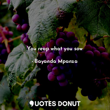 You reap what you sow... - Bayanda Mpanza - Quotes Donut