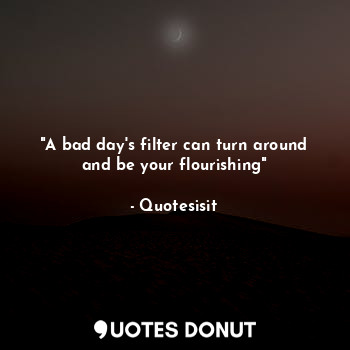 "A bad day's filter can turn around and be your flourishing"