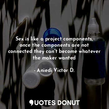 Sex is like a project components, once the components are not connected they can't become whatever the maker wanted