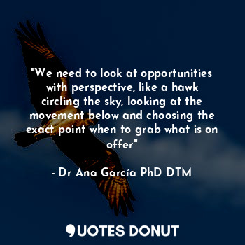 "We need to look at opportunities with perspective, like a hawk circling the sky, looking at the movement below and choosing the exact point when to grab what is on offer"
