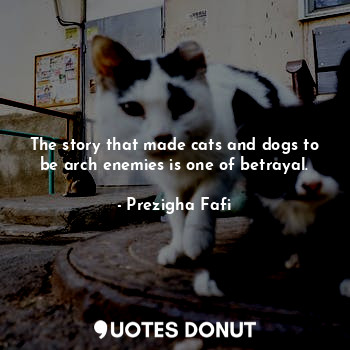  The story that made cats and dogs to be arch enemies is one of betrayal.... - Prezigha Fafi - Quotes Donut