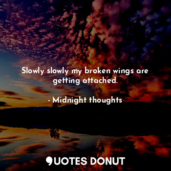  Slowly slowly my broken wings are getting attached.... - Midnight thoughts - Quotes Donut