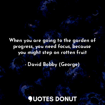  When you are going to the garden of progress, you need focus, because you might ... - David Bobby (George) - Quotes Donut