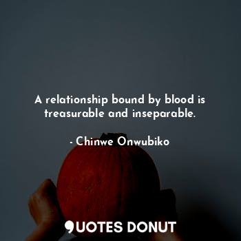  A relationship bound by blood is treasurable and inseparable.... - Chinwe Onwubiko - Quotes Donut