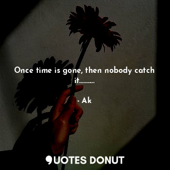 Once time is gone, then nobody catch it...........