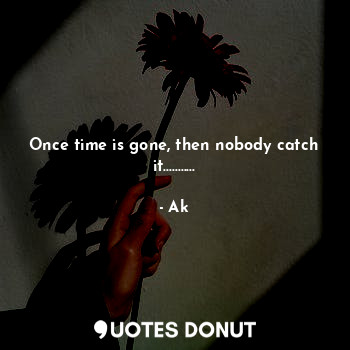  Once time is gone, then nobody catch it.............. - Ak - Quotes Donut