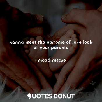  wanna meet the epitome of love look at your parents... - mood rescue - Quotes Donut