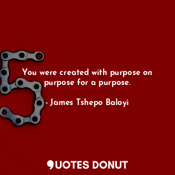 You were created with purpose on purpose for a purpose.