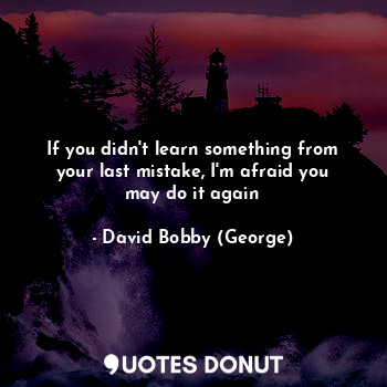  If you didn't learn something from your last mistake, I'm afraid you may do it a... - David Bobby (George) - Quotes Donut