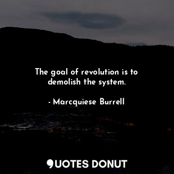 The goal of revolution is to demolish the system.