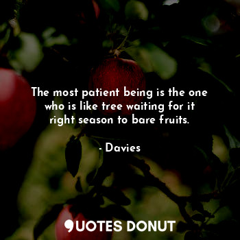 The most patient being is the one who is like tree waiting for it right season to bare fruits.
