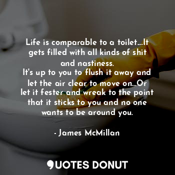 Life is comparable to a toilet....It gets filled with all kinds of shit and nastiness.
It's up to you to flush it away and let the air clear to move on...Or let it fester and wreak to the point that it sticks to you and no one wants to be around you.