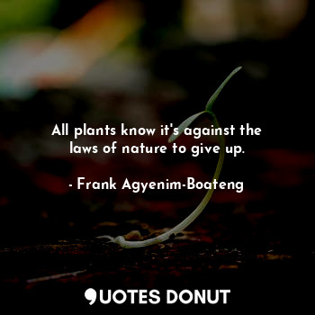 All plants know it's against the laws of nature to give up.