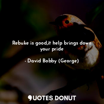 Rebuke is good,it help brings down your pride