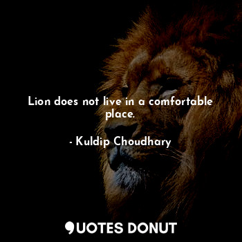  Lion does not live in a comfortable place.... - Kuldip Choudhary - Quotes Donut