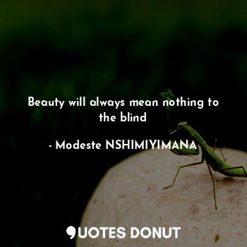  Beauty will always mean nothing to the blind... - Modeste NSHIMIYIMANA - Quotes Donut