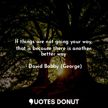  If things are not going your way, that is because there is another better way... - David Bobby (George) - Quotes Donut