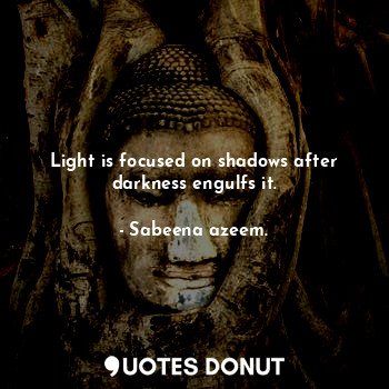  Light is focused on shadows after darkness engulfs it.... - Sabeena azeem. - Quotes Donut