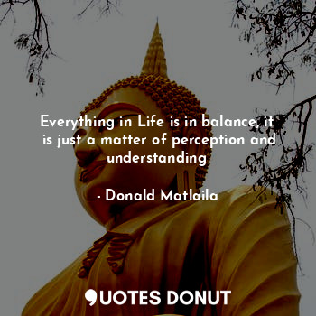  Everything in Life is in balance, it  is just a matter of perception and underst... - Donald Matlaila - Quotes Donut